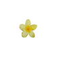 Some Flower hair clips